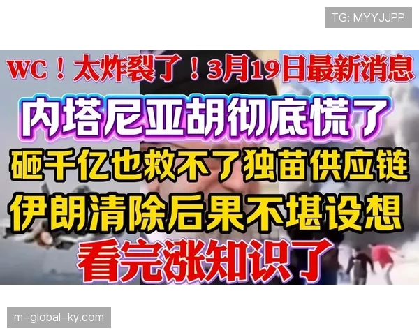 新西兰大洋洲独苗 面对比利时伊朗恐难取积分 新西兰大洋洲独苗 面对比利时伊朗恐难取积分